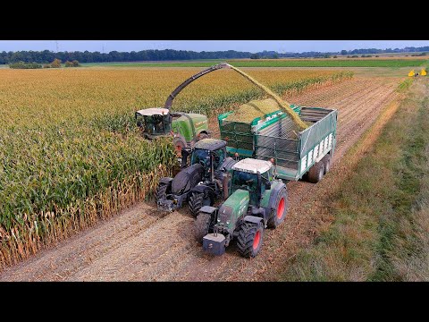 Mais 2024 : Fendt Katana 650 | Linneweh | Fendt 930 | Maisernte | Mais silage | Valtra |