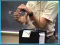 Exploring Series and Parallel Circuits