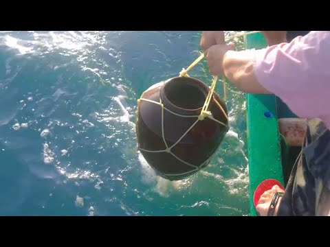 老四把管子和坛子放深海，隔几天收有大海鳗大石斑，太生猛了