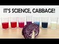 Red Cabbage Indicator and pH Concepts