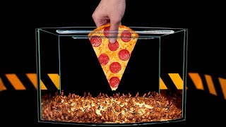¿QUÉ PASARÁ SI LES DAMOS UNA PIZZA A 100 CUCARACHAS HAMBRIENTAS¿CUÁNTO TIEMPO TARDARÁN EN COMÉRSELA?