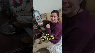 This Dog Has Super Powers 🤯