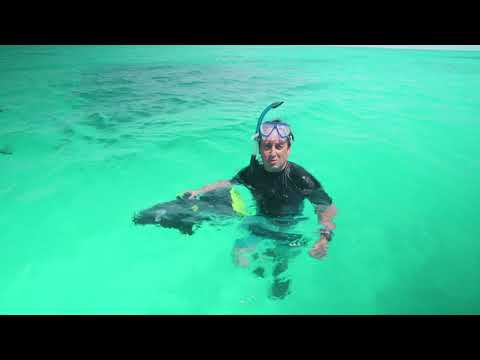 Cocos Keeling Islands - Destination WA 2020 - Underwater Sea Scooter