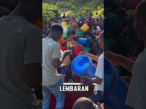 sistem pembayaran upah pekerja yang sangat adil #shorts #shortsvideo
