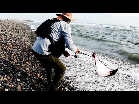 ¡Increíble! Pescador Atrapó un Pez Plano, Pero Este Escapa con Astucia