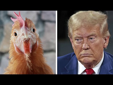 Trump will OBVIOUSLY botch bird flu