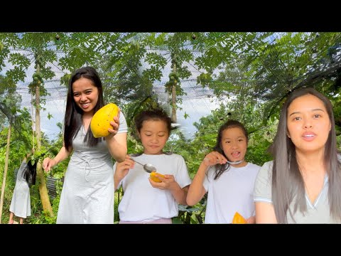 FILIPINA BRITISH LIFE IN UK: NAKAUWI NA SA AMING PROBINSYA
