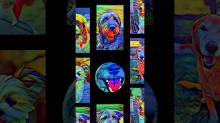Dog Art Montage of our Mutt Mob RogerKingBits