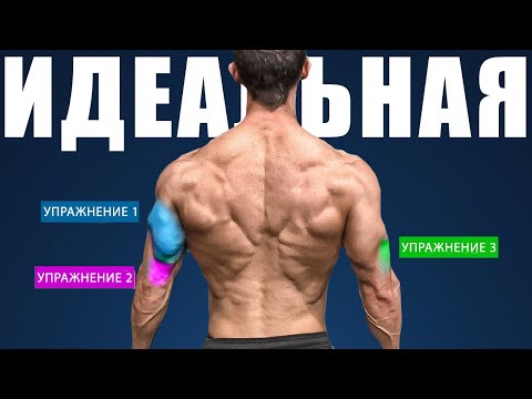 Идеальная Тренировка Трицепса 2025 - По Науке