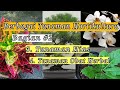 Ornamental and Medicinal Horticultural Plants