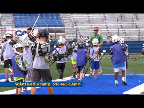 Hofstra Summer Camp Employment Jobs Ecityworks