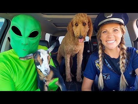 Puppy Surprises Police Dancing Car Ride Chase!