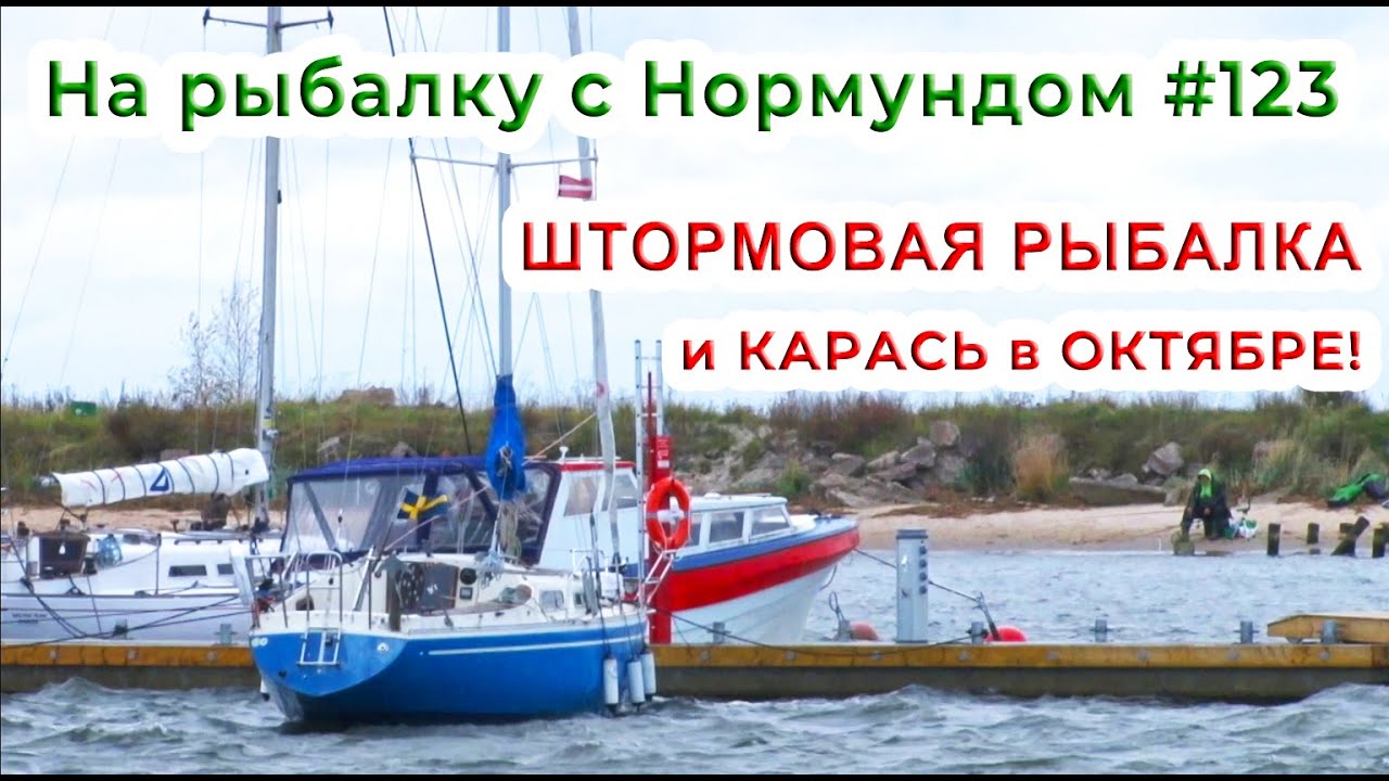 ОКТЯБРЬ, ШТОРМ и КАРАСЬ! Такое может быть! На рыбалку с Нормундом #123