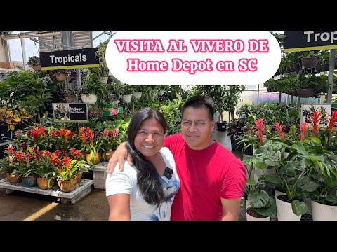 VISITAMOS EL VIVERO de Home Depot en SC llegaron plantas preciosas