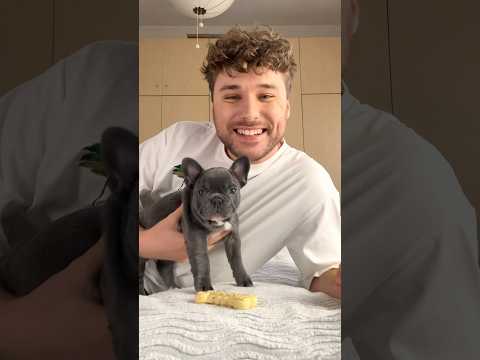 POTETE CONTROLLARE LA MIA CAGNOLINA? 🥺