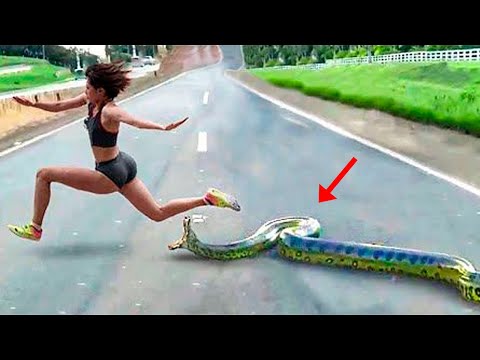 She tried to cheat to win the race but had no idea what awaited her on the shortcut!