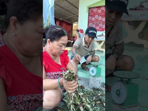 Thật cảm động mà #thuongonha #videogiaitri