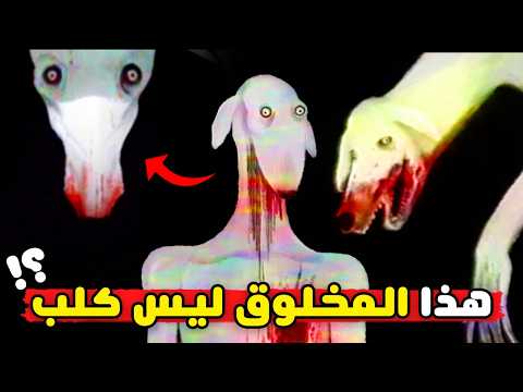 شرح قصة التجربة 0002 الكلب دكستر | Dexter the dog analog horror