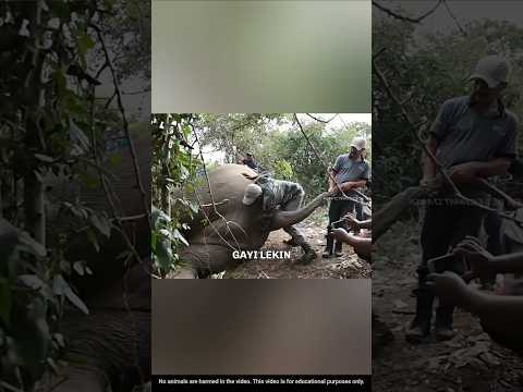 Please! मुझे बचा लो 🥺 #shorts