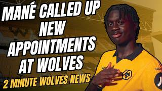 2 Minute Wolves News 🗞️