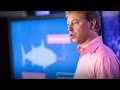Aquaculture and Global Food Sustainability