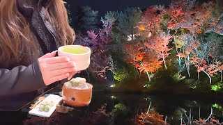 SUB【京都 vlog】紅葉🍁1泊2日女ひとり旅 | 錦市場、1人飲み、紅葉も楽しむ日/京都旅行