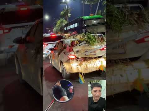 Xe hơi chở hàng bùn đất với rơm