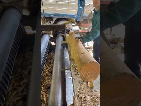 We only take the core to make broom handles from this log#machine #wood #woodmachinery