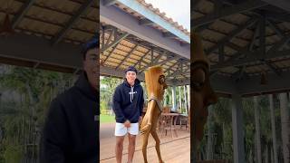 Com o tung tung