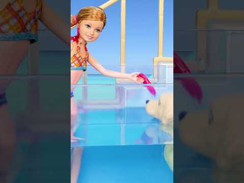 BARBIE se divierte en la PISCINA de RAINBOW HIGH ⛱ Parte 4 😸 Cat Juguetes #barbie #barbiedoll #short