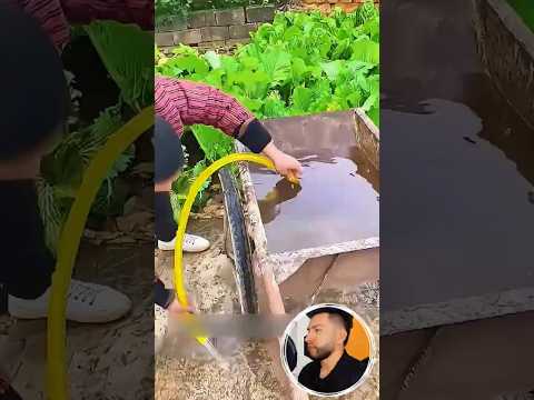 Así puedes vaciar cualquier tanque de agua usando una manguera sin bomba ni electricidad