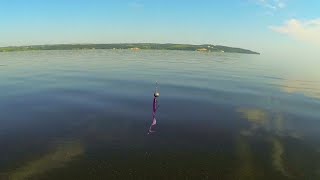 видео