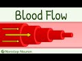Turbulent Blood Flow Concepts