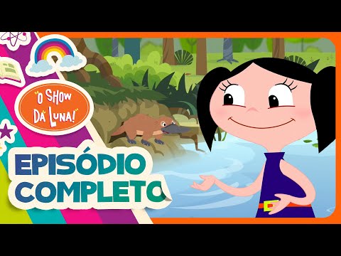 O QUE É UM ORNITORRINCO 🌳 Episódio Completo l O Show da Luna!