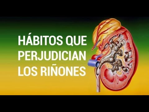 ¡Nosotros mismos estamos matando nuestros riñones! 10 hábitos que debes cambiar