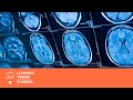 Nervous System Functions and Responses