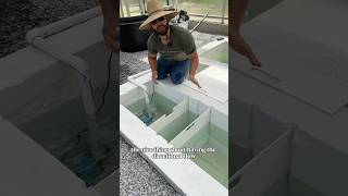 Why these PVC tank dividers are AMAZING
