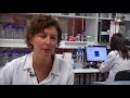 Cuestionario sobre Biología Molecular y Empresa