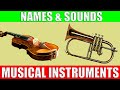 Musical Instruments Identification