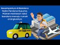 Understanding the Transcript