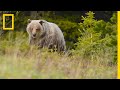 Wildlife and Human Interaction in Bull Valley