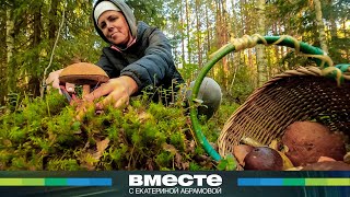 Как поймать грибную волну? Секреты «тихой охоты»