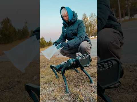 Robot dog poops💩Робопес в городе💩🥴 #humor