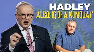 Ray Hadley lashes Albanese over Labor blunders