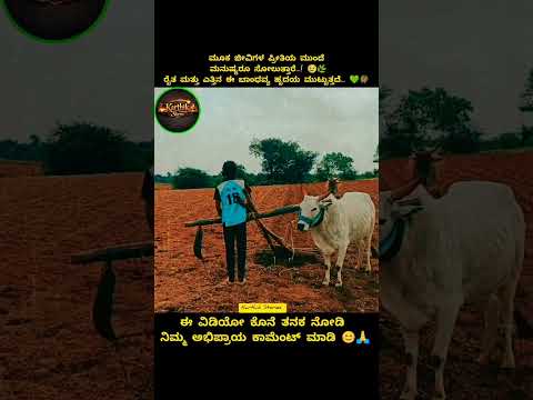 ಈ ನಂಬಿಕೆ ನೋಡಿದರೆ ಕಣ್ಣೀರು ಬರುತ್ತದೆ!" 😢🙏🌾#Shorts
