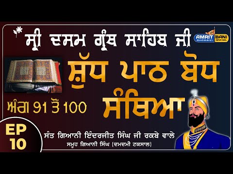 10. Sri Dasam Granth Sahib Path Bodh | Ang 91 to 100 | ਸ਼ੁੱਧ ਸੰਥਿਆ | Giani Inderjit Singh Raqbe Wale