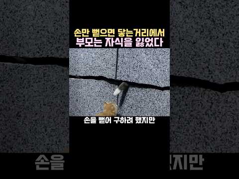 눈 앞에서 자식을 잃은 부모의 슬픔ㅠ