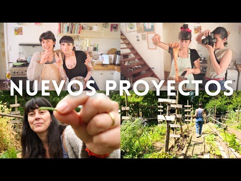 Nuevos Proyectos | Cocina, huerta, amistad y Pollitos