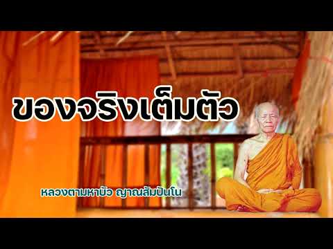 ของจริงเต็มตัว  หลวงตามหาบัว ญาณสัมปันโน