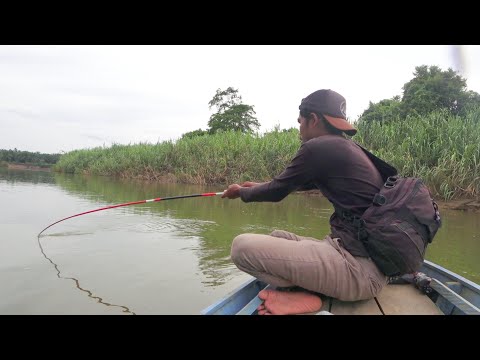 Mancing Berbagai Macam Ikan Disungai Besar Langsung Dimasak !!!